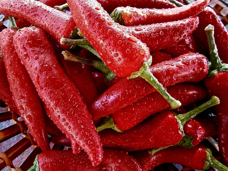 red chili lot, fruit, pepper, vegetable, vegetables, nature HD wallpaper