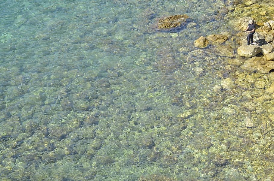 montenegro, budva, fisherman, sea, clear water, the adriatic sea, HD wallpaper