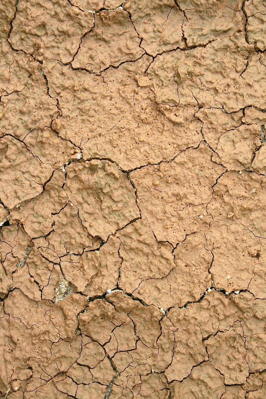 Soil, Mud, Crack, Dry, Drought, the luxury cruise ship, surface HD wallpaper