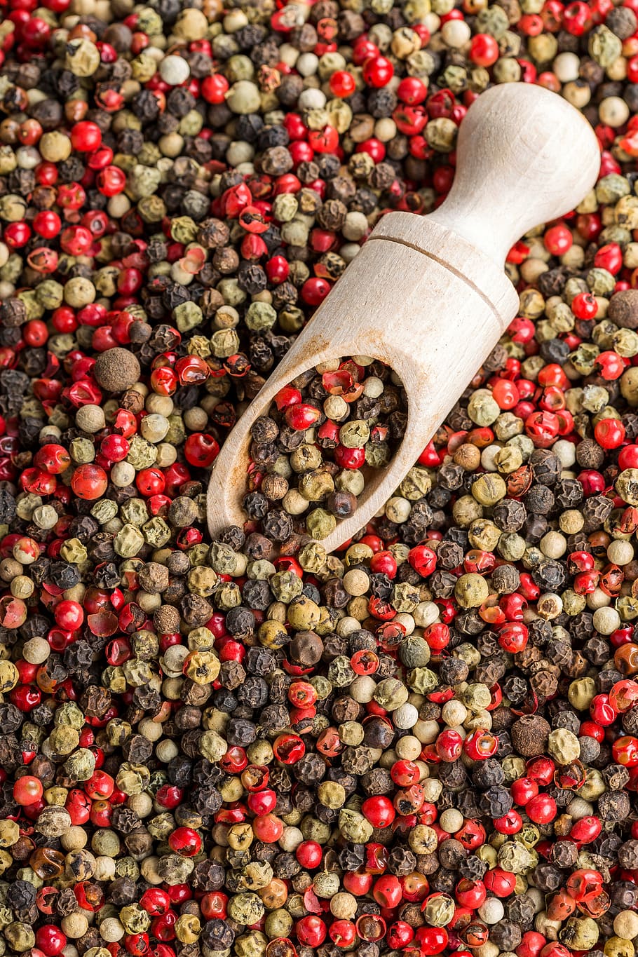 pile of pepper seeds, bell pepper, pepper mix, red pepper, seasoning HD wallpaper