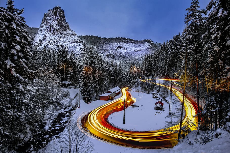 time-lapse photography of road surrounded by pine trees coated with snow, landscape photography of forest near mountains HD wallpaper