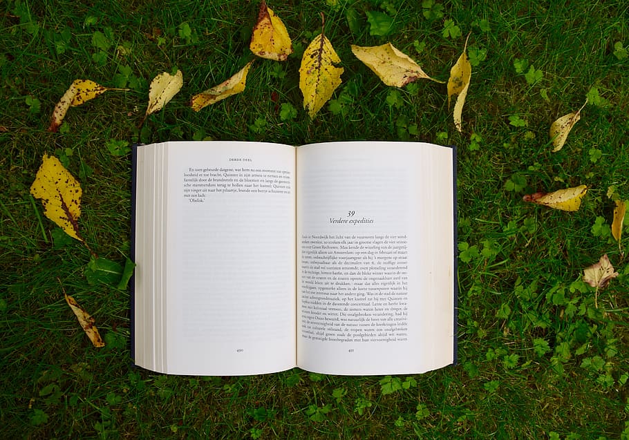 opened book, reading, study, school, green, grass, outdoor HD wallpaper