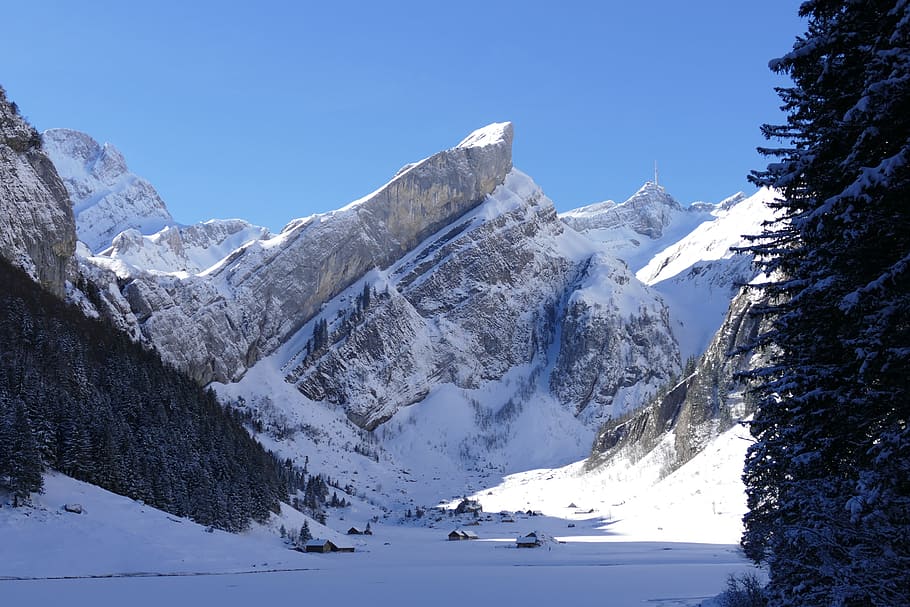 view, wanderlust, foresight, snow, cold temperature, winter HD wallpaper