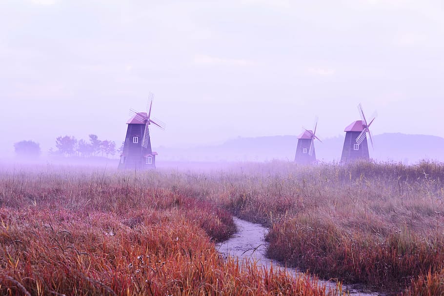 three wind mills on brown and green grass field, fog, silver grass HD wallpaper