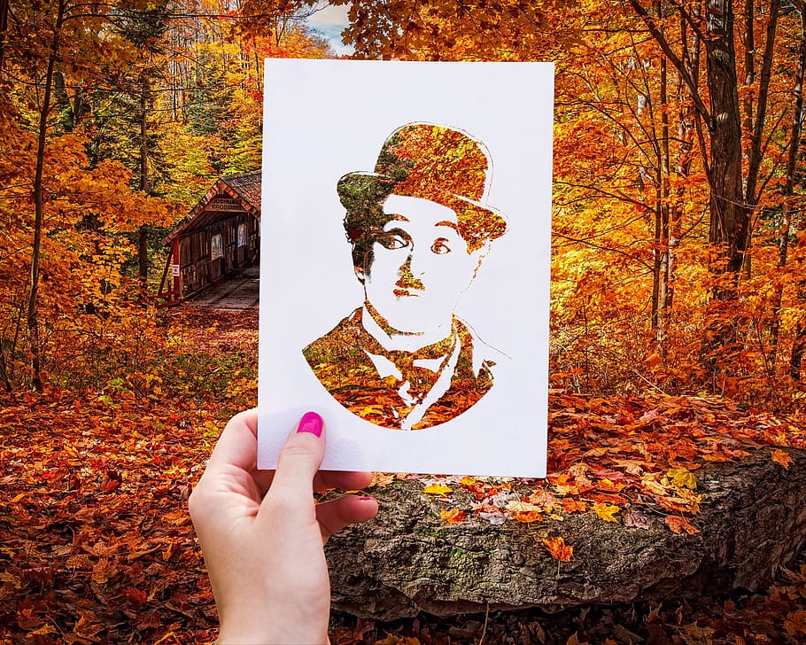 fall, leaf, maple, tree, people, charlie chaplin, human hand HD wallpaper