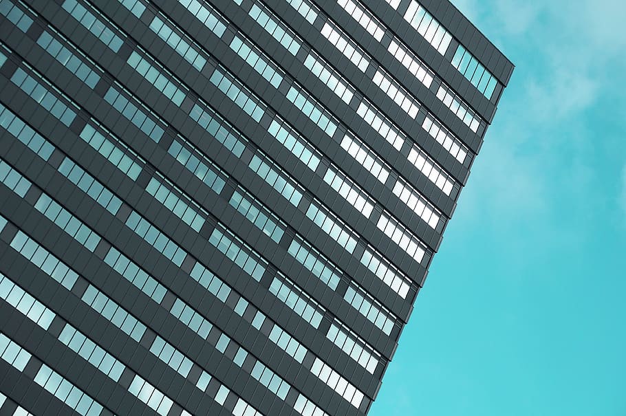 building, architecture, window, city, urban, blue, sky, sunshine HD wallpaper