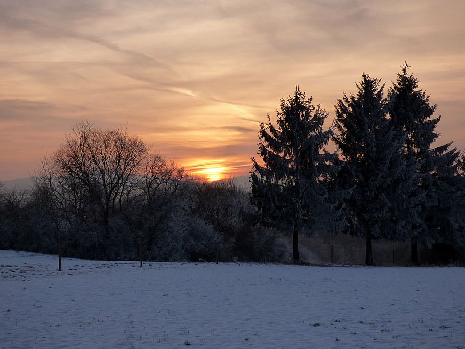 sunset, winter, snow landscape, white, cold, trees, air, evening HD wallpaper