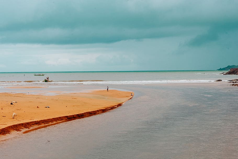 person standing on seashore during daytime, beach during daytime HD wallpaper