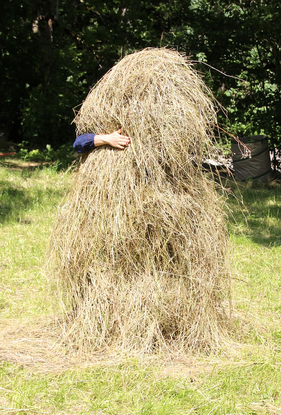 haystack, yoda, pile, feed, summer, pet food, farm, agriculture HD wallpaper