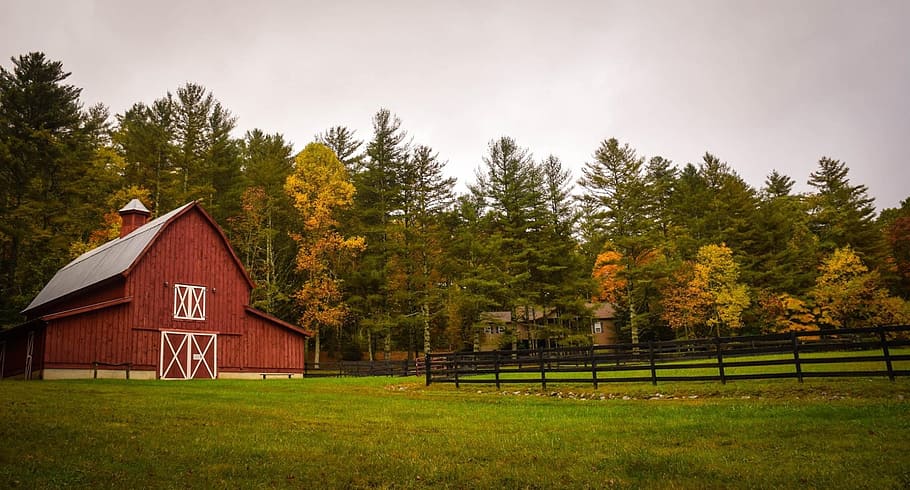 red and gray house near trees under the clear sky during daytime HD wallpaper