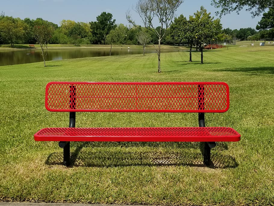 red, bench, grass, lake, tree, plant, seat, nature, land, field HD wallpaper