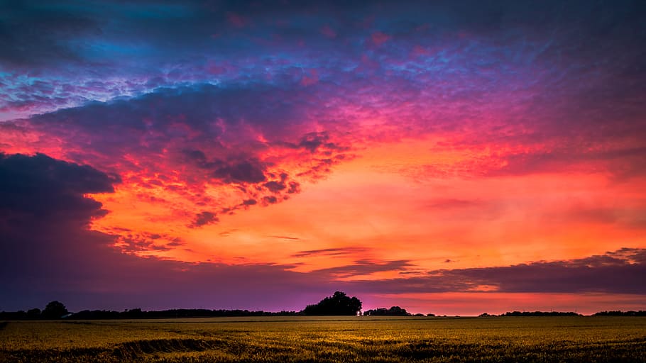 dawn, nature, sky, clouds, dusk, field, idyllic, scenic, tranquil HD wallpaper