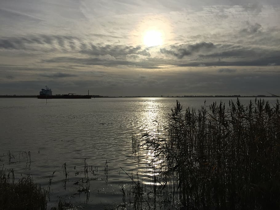 elbe, nature, river, mirroring, cold, spring, clouds, mood HD wallpaper