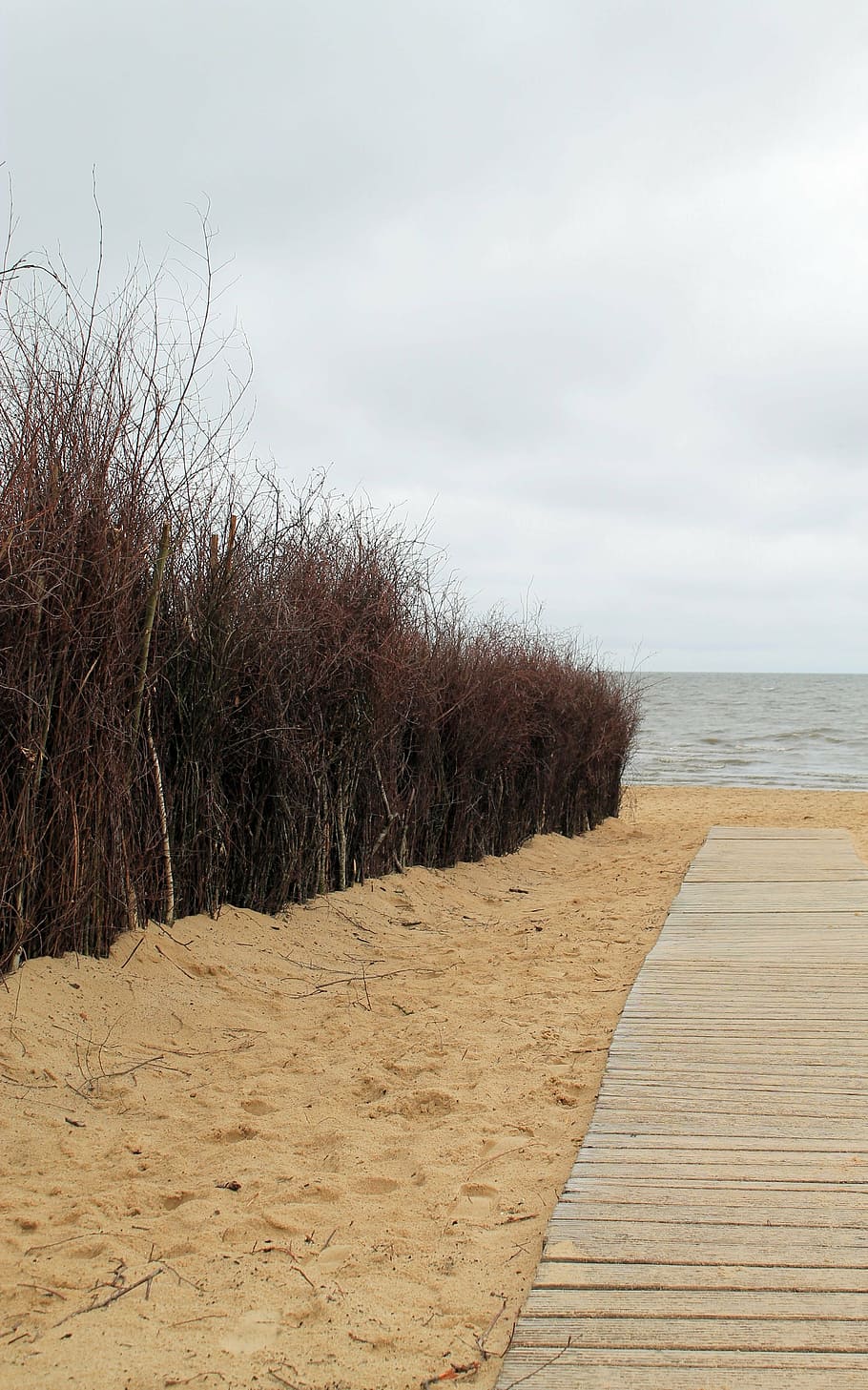 dunes, coast, beach, steeg, sea, water, holiday, north sea HD wallpaper