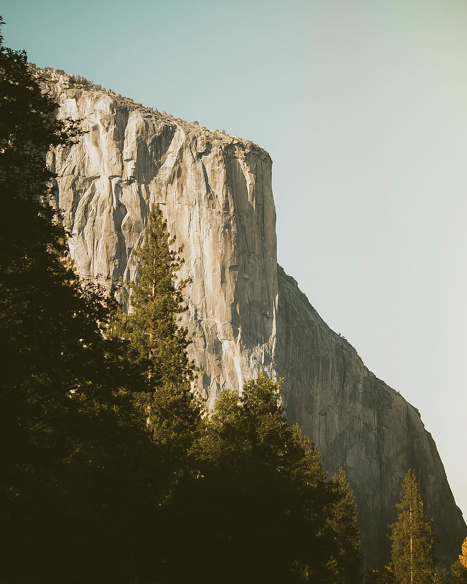 brown mountain surrounded by trees, landscape photography of gray rocky mountain HD wallpaper