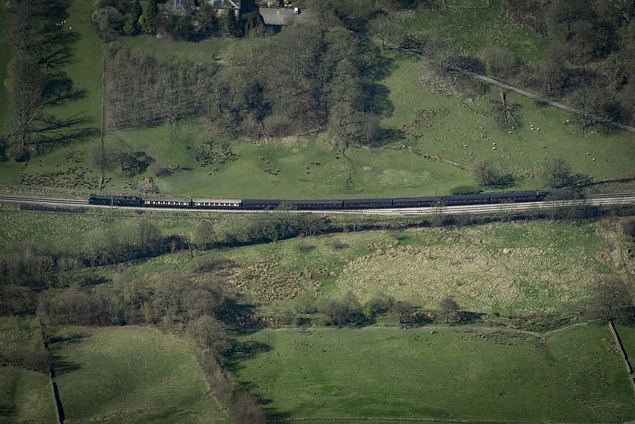 train traveling near forest, aerial photo of black train, Flying Scotsman, HD wallpaper