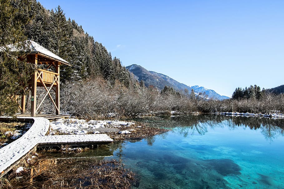 Caught in nature, brown and white wooden outpost near lake, forest HD wallpaper