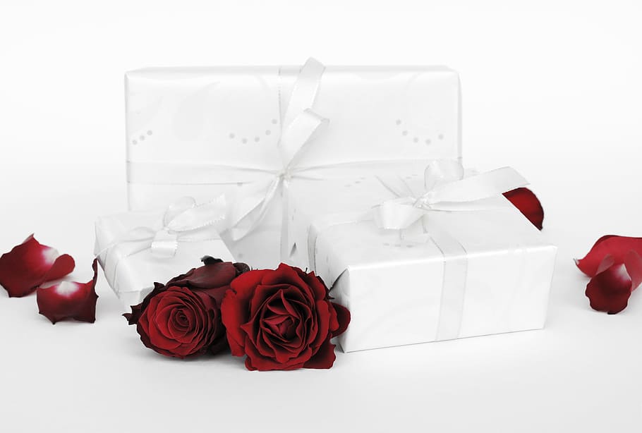 three white wrapped gift boxes and roses, surprise, packed, love, HD wallpaper