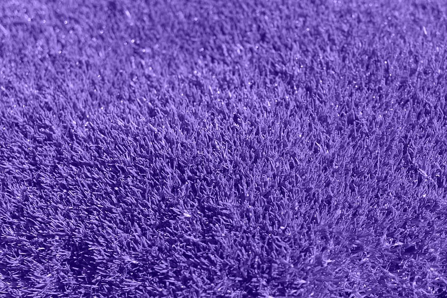 closeup photography of fleece purple textile, background, grass HD wallpaper