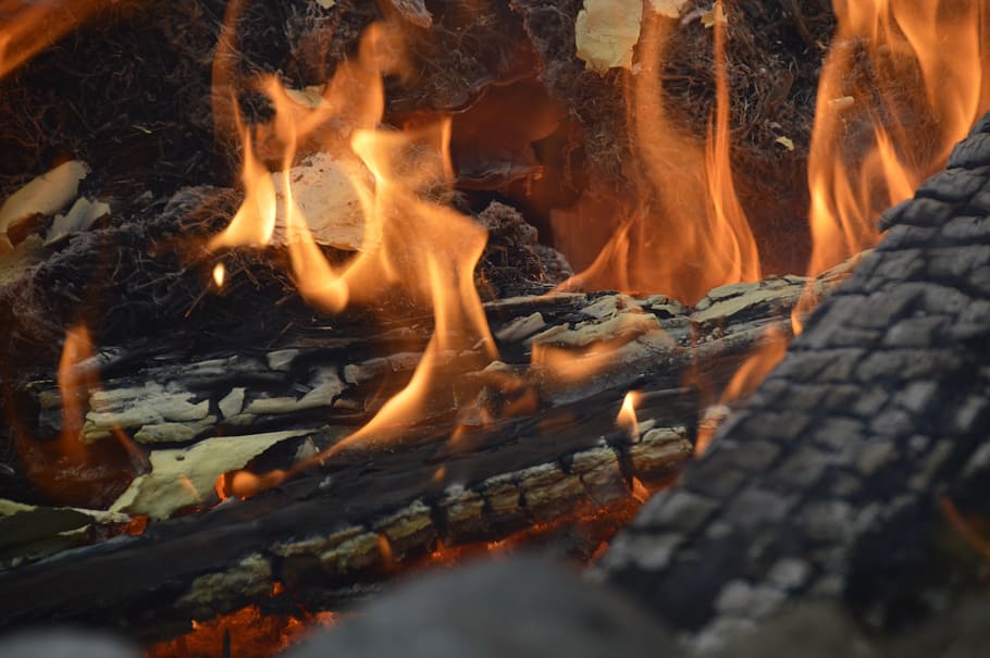 fire, burn, campfire, flame, wood fire, flame log fire, burner HD wallpaper