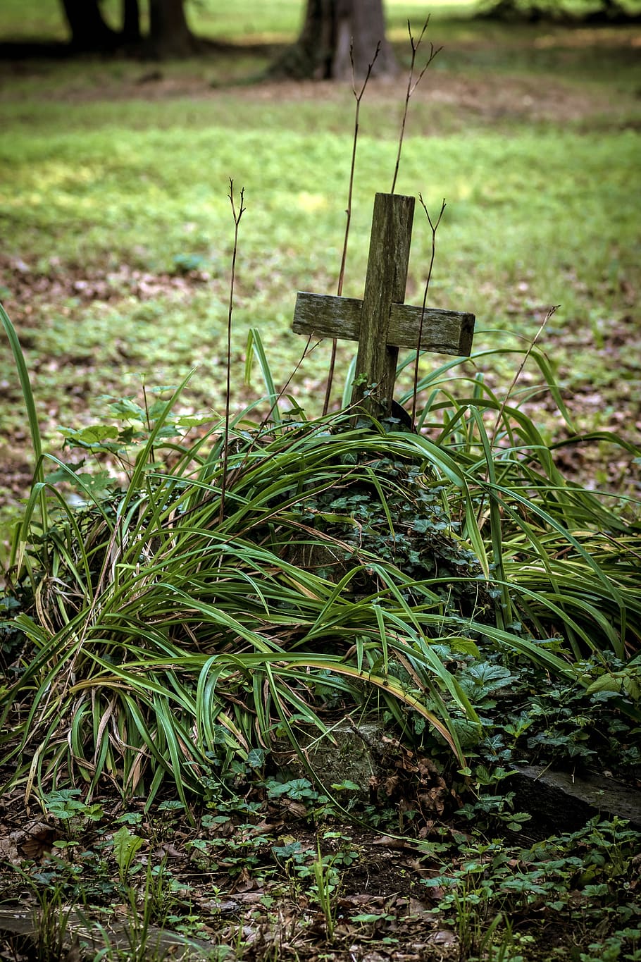 the tomb of, old cemetery, tombstone, cross, abandoned, funeral