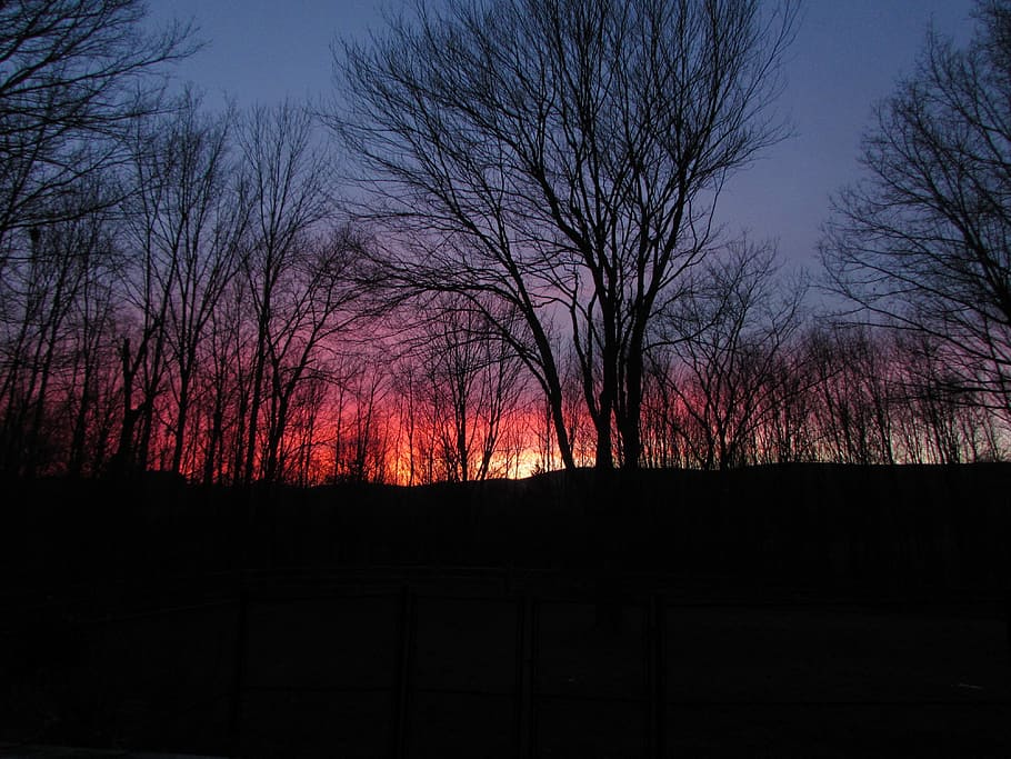Sunset, Trees, Night, Evening, Landscape, silhouette, sky, nature HD wallpaper