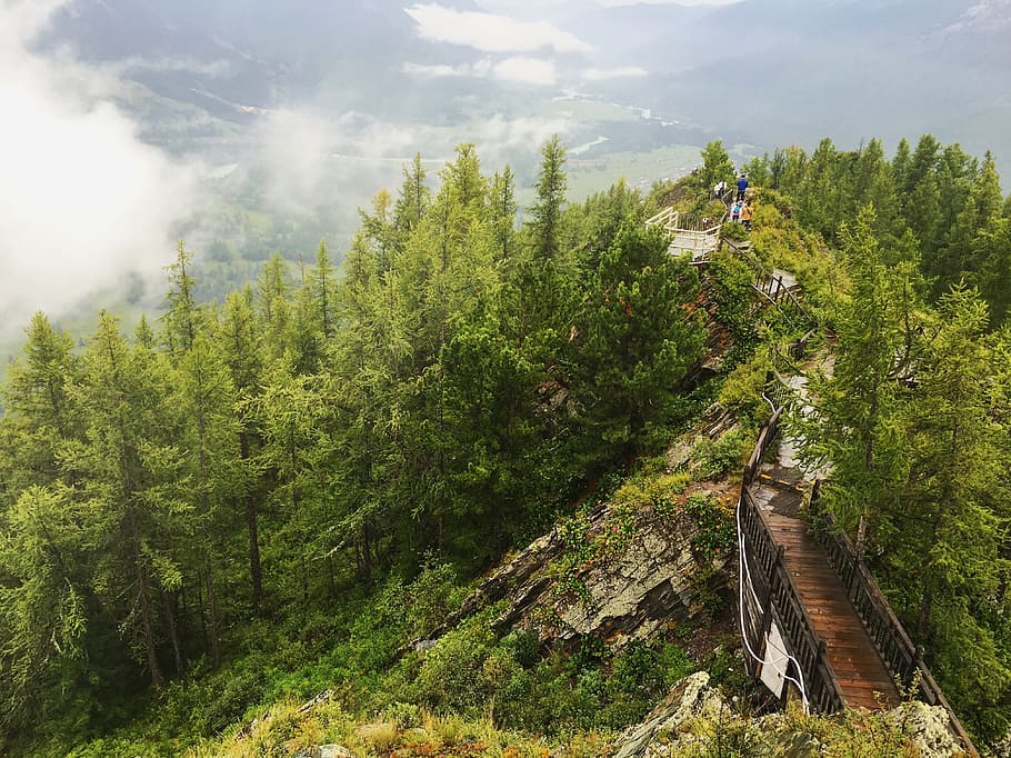 peak, mountain, view, landscape, wood, pathway, bridge, stairs HD wallpaper