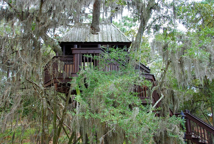 brown and green tree house, treehouse, trees, natural, nature HD wallpaper