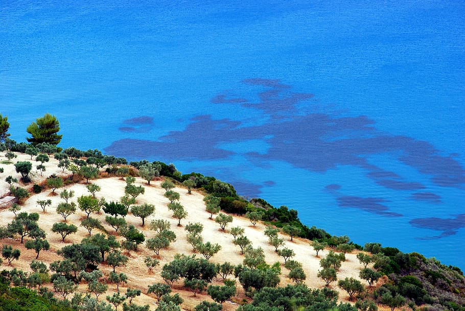 aerial view of island near body of water, beach, sea, tree HD wallpaper