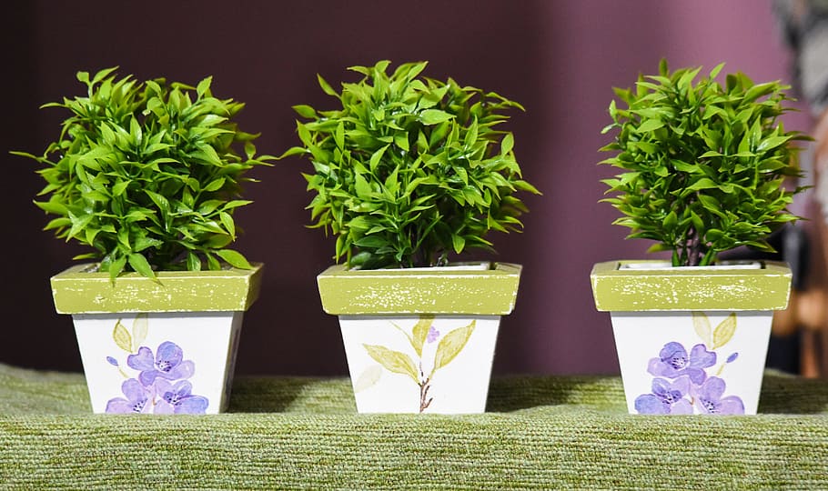pots, decoration, artificial, inside, plant, herb, leaf, green color HD wallpaper