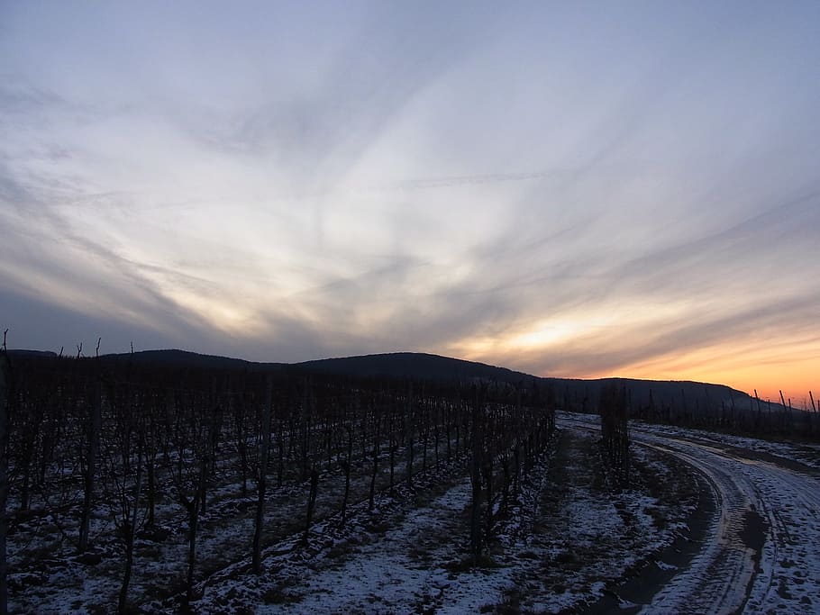 twilight, sun, dusk, sky, clouds, nature, tranquil scene, tranquility HD wallpaper