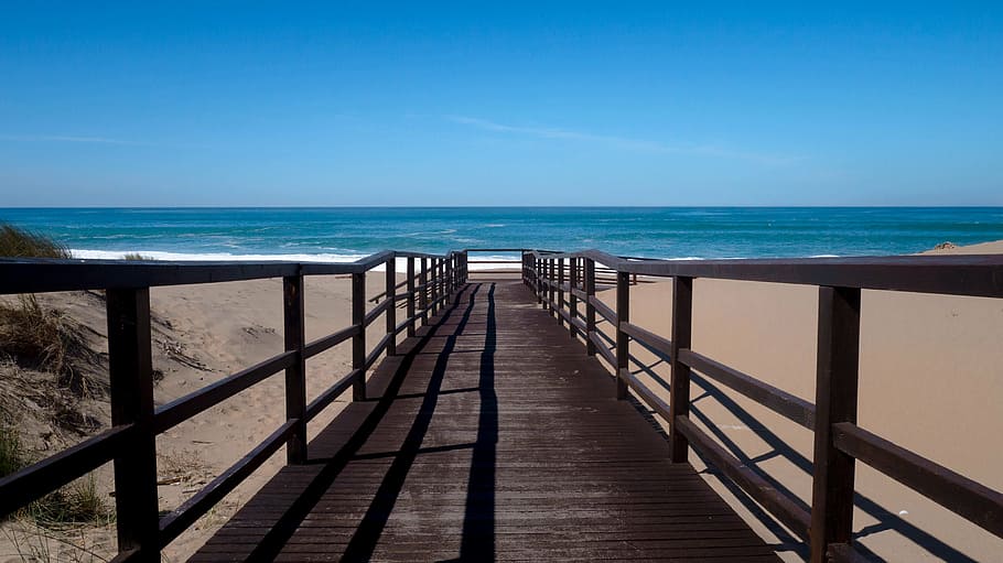 beach, ocean, path, sand, sea, seascape, seashore, water, nature HD wallpaper