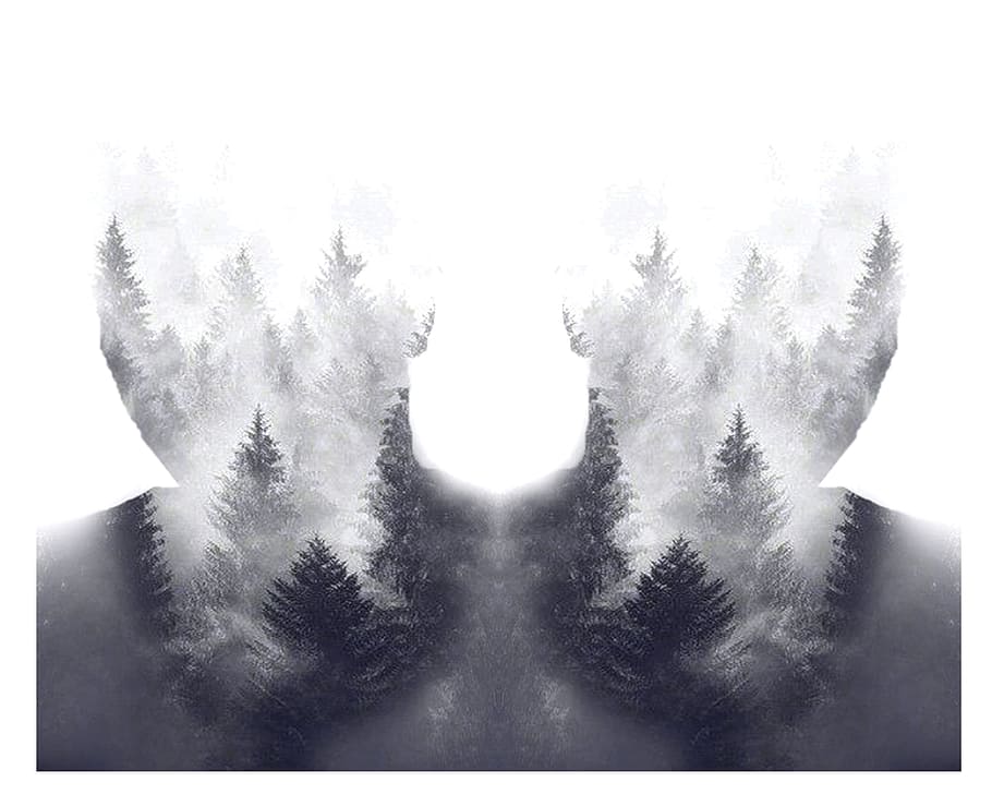 back, art, photoshop, tree, plant, winter, nature, cold temperature HD wallpaper