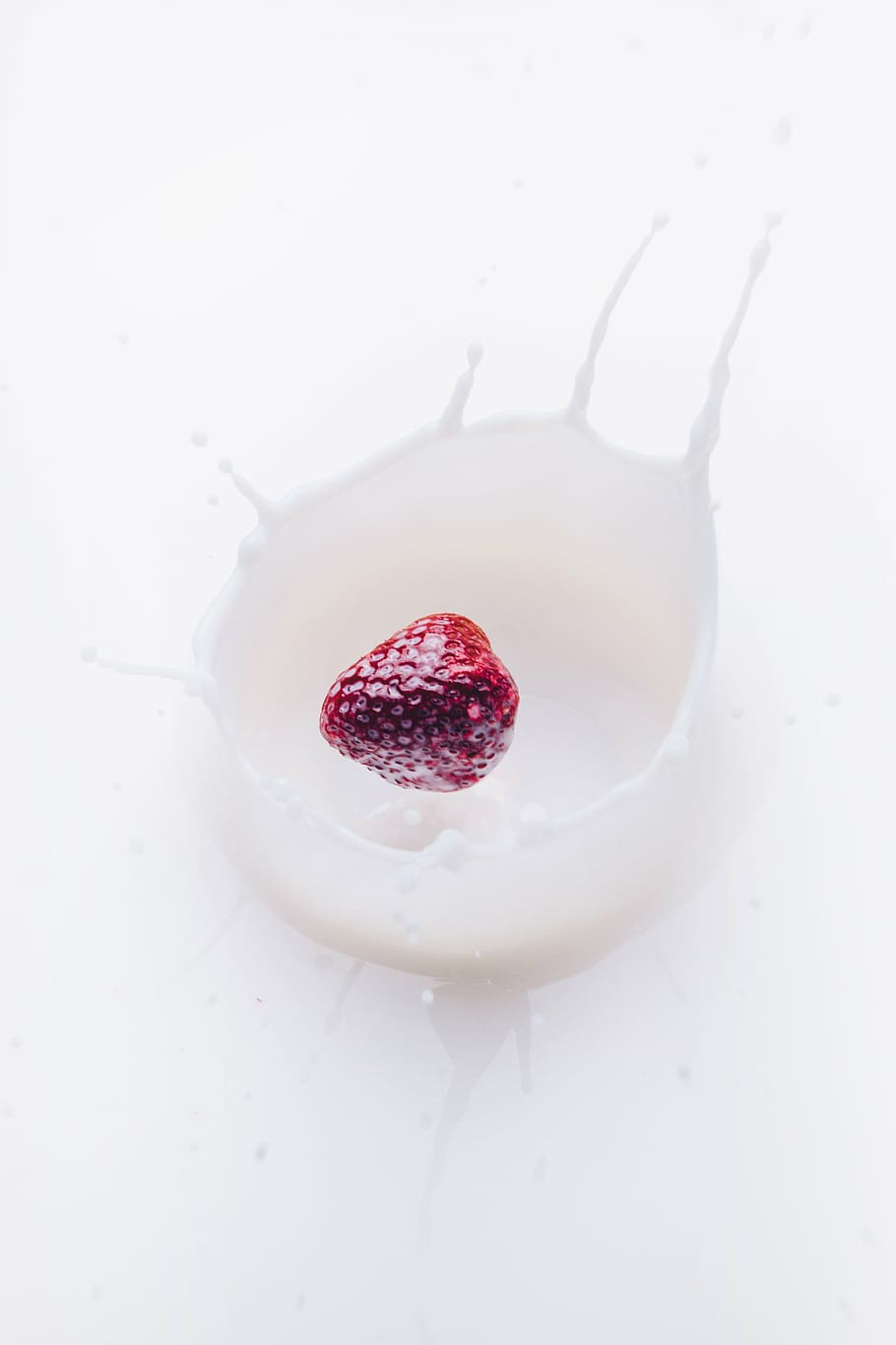 fruit, liquid, milk, splash, strawberry, food, freshness, red HD wallpaper