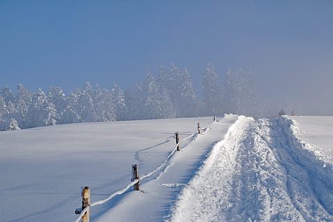 white snow near green trees during daytime, winter, wintry HD wallpaper