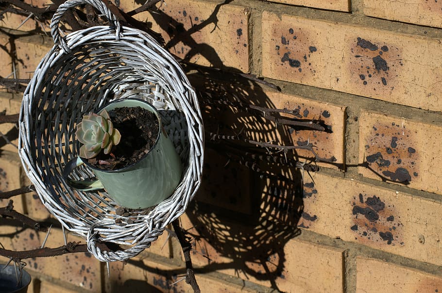 basket, flower, shadow, wall - building feature, no people HD wallpaper