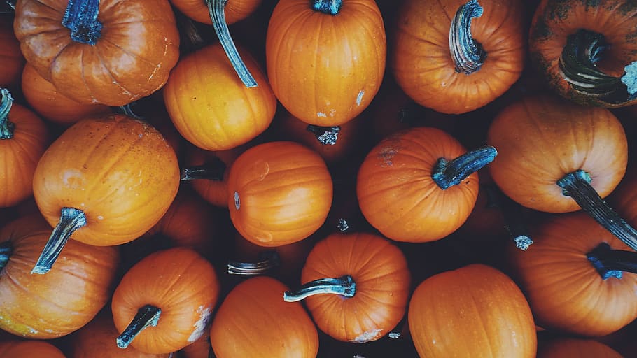 squash, vegetable, pumpkin, food and drink, freshness, full frame HD wallpaper