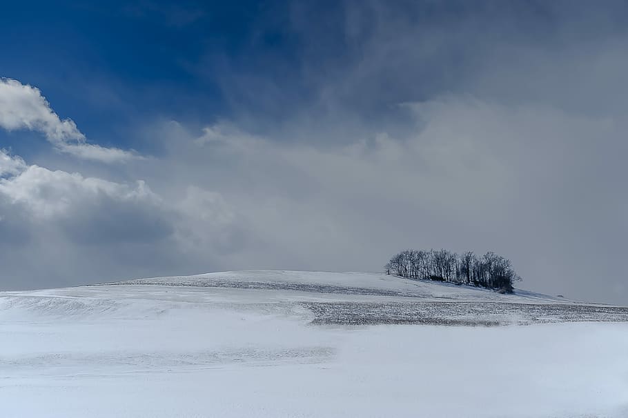 snowy mountain, trees on glacier mountain under white and blue sky HD wallpaper