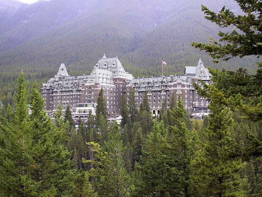 Hotel, Alberta, Banff, Canada, Travel, mountain, springs, resort HD wallpaper