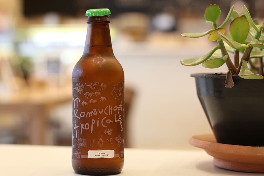 kombucha, drink, container, focus on foreground, table, text HD wallpaper