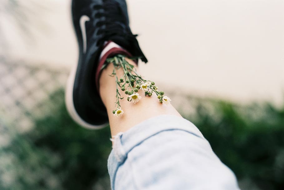 person's shoe filled with daisy flowers, white flower on person's shoe, HD wallpaper