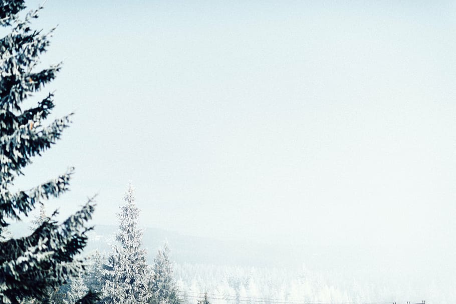 landscape, trees, sky, nature, outdoors, winter, plant, snow HD wallpaper