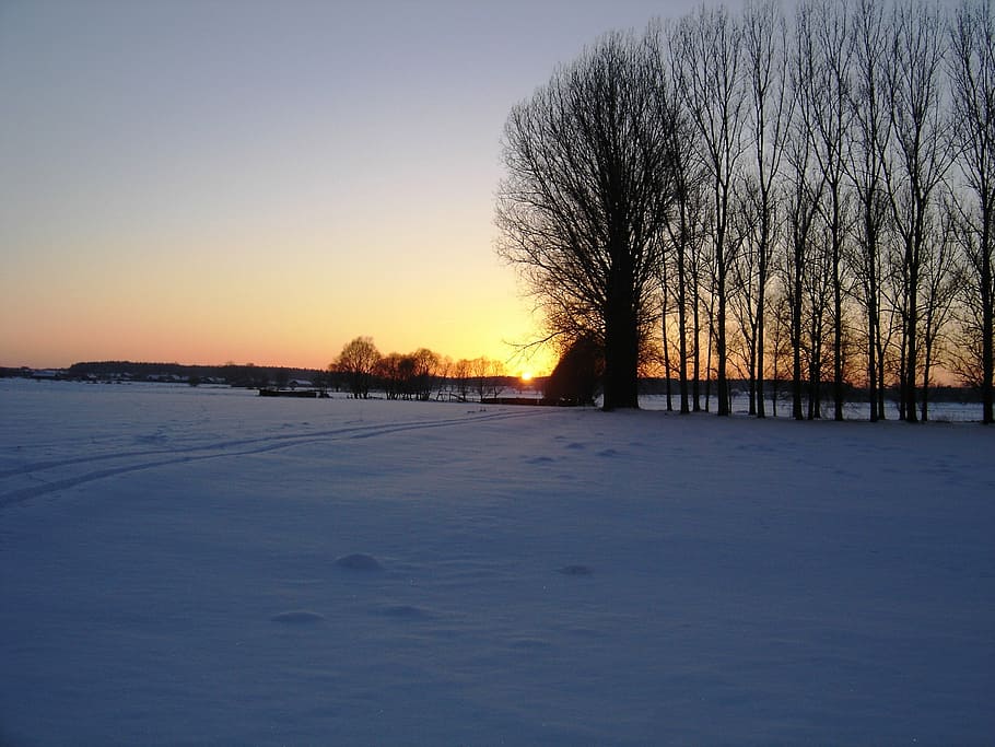 winter, evening, sunset, tree, the sun, twilight, clouds, sky HD wallpaper