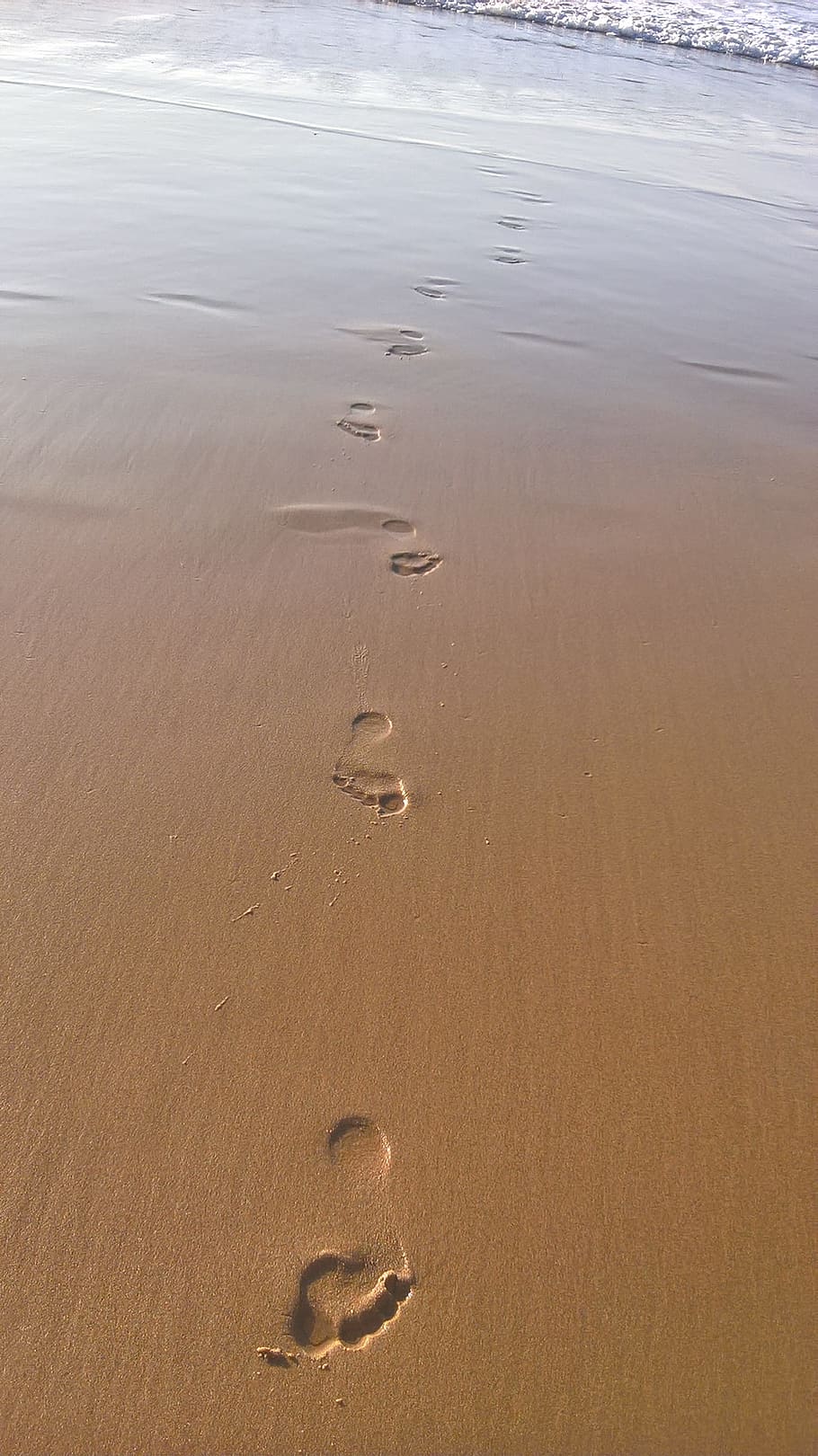 footstep, beach, sea, sand, water, land, nature, beauty in nature HD wallpaper