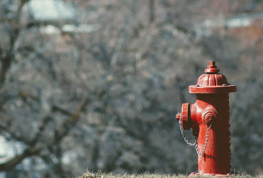 selective focus photography of red fire hydrant photo taken during daytime, selective focus photo of firehydrant HD wallpaper