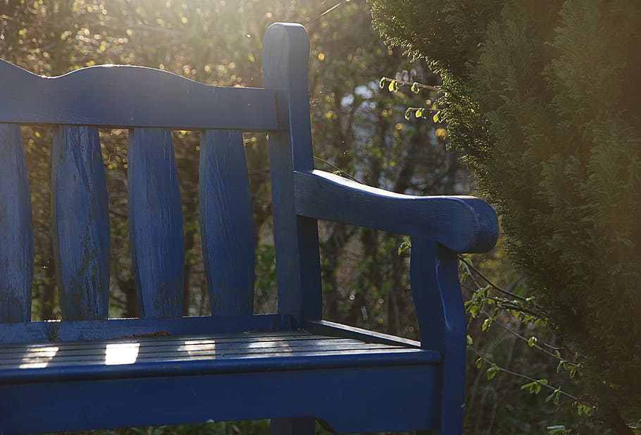 bench, garden bench, back light, blue, seat, resting place HD wallpaper