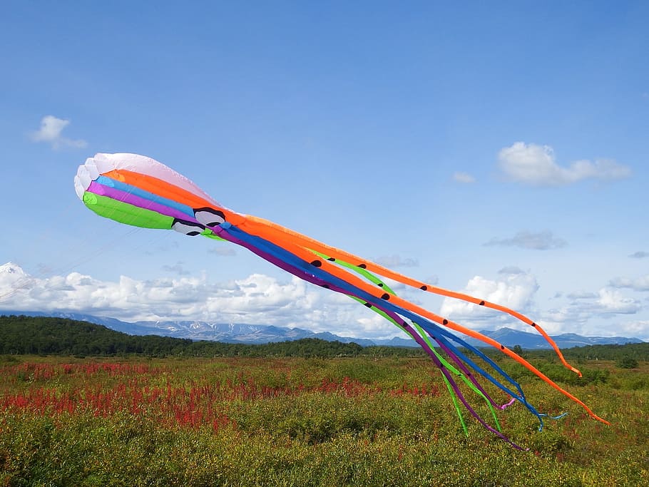 kite, octopus, sky, flight, height, air flow, tundra, nature HD wallpaper