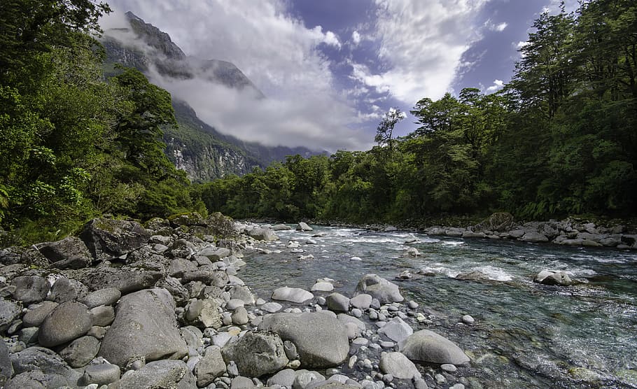 Cleddau River, Rocks, Trees, boulders, clear water, amazing HD wallpaper