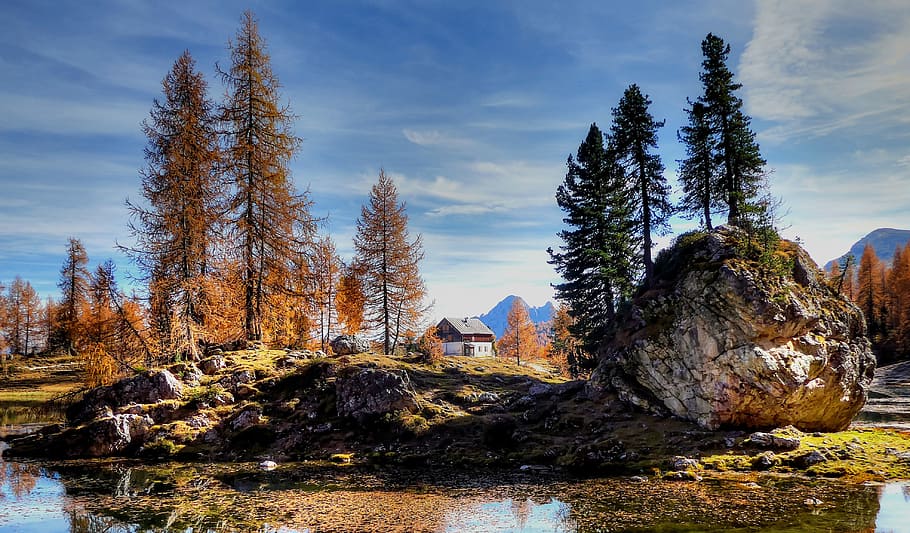 landscape photo of house between pine trees, dolomites, mountains, HD wallpaper