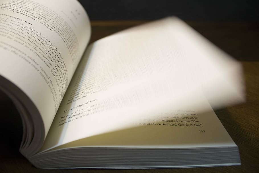 opened book, paper, book bindings, document, education, page HD wallpaper